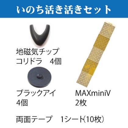 いのち活き活きセット 丸山修寛先生が開発した電磁波対策&地磁気補給グッズセット!