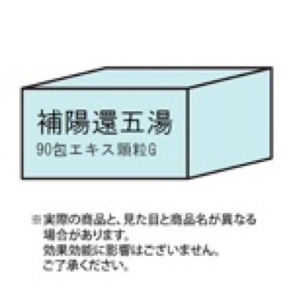 補陽還五湯　９０包
