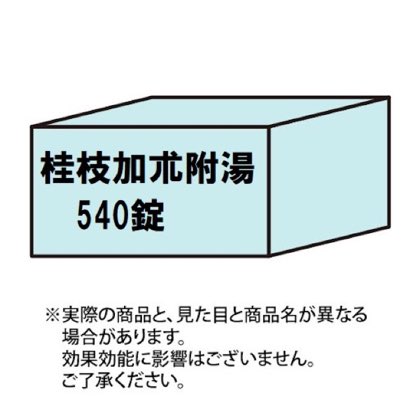 桂枝加朮附湯エキス錠 540錠 商品写真