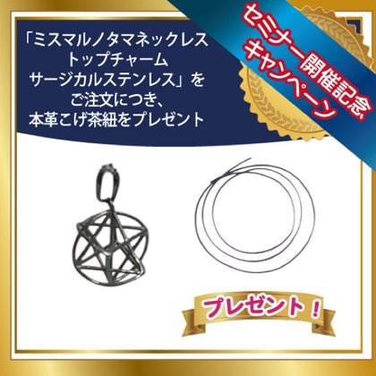 ミスマルノタマ・トップチャーム(サージカルステンレス)+本革こげ茶紐 ■セミナー開催キャンペーン 商品写真