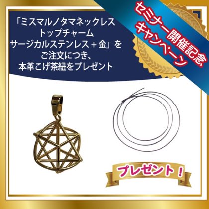 ミスマルノタマ・トップチャーム(サージカルステンレス+金)+本革こげ茶紐 ■セミナー開催キャンペーン