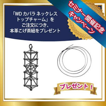 WDカバラ ネックレストップチャーム+本革こげ茶紐 ■セミナー開催キャンペーン